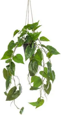 Image de Plante artificielle Philodendron suspendue Ø80cm - plante verte artificielle