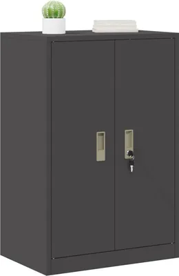 A dark gray metal cabinet with two doors, each with a handle. One door has a key lock. A small potted plant and a stack of books are on top of the cabinet.