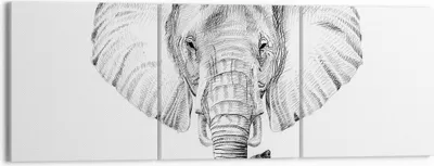 Produktbild von Bild auf Leinwand - Leinwandbild - Elefant Afrika Illustration Kinder - 150x50cm - Wand Bild - Wanddeko - Leinwanddruck - Bilder - Kunstdruck - Leinwand bilder - Wandkunst - CA150x50-3213