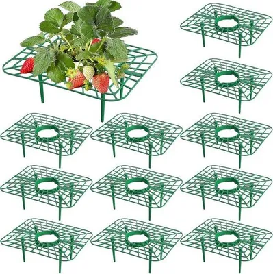 Immagine prodotto di Supporti per bacche - Supporti per frutta - Protezione delle piante - Evita il contatto con il terreno - 10x10x3 cm