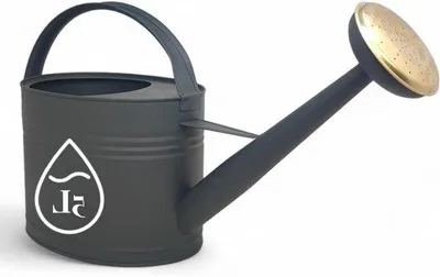 Image de Arrosoir en zinc 5 litres, arrosoir en métal pour les fleurs à l'intérieur et à l'extérieur, arrosoir vintage, douchette amovible, couleur : anthracite - LIVLIG