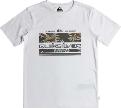 Image de T-shirt Quiksilver EQBZT04725-WBB0 pour Homme