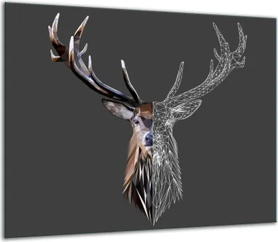 Produktbild von Herdabdeckplatten Glaskeramikkochfeld-Abdeckung Spritzschutz Glas 60x52cm Hirsch
