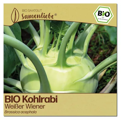 Produktbild von Samenliebe  Kohlrabi Samen | Weißer Wiener - frühe Sorte - samenfestes  Saatgut