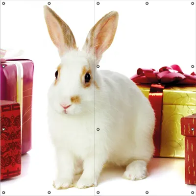 Produktbild von Wallario Outdoor-Poster für Garten oder Balkon, Motiv Süßes Kaninchen mit bunten Geschenken, in ca. 180 x 180 cm