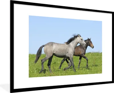 Produktbild von MuchoWow® Gerahmtes Poster Pferde - Tiere - Gras 90x60 cm - Poster mit Schwarzem Bilderrahmen Wandposter Rahmen Foto Bilder - Wanddekoration - Fotos
