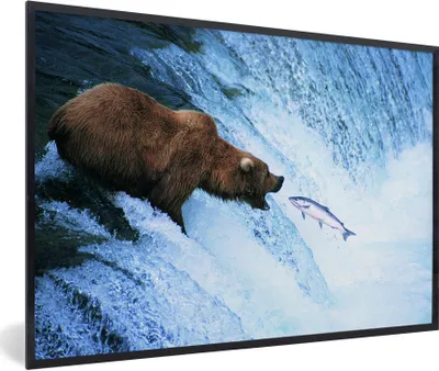 Produktbild von MuchoWow® MuchoWow® Gerahmtes Poster Bär - Fisch - Wasserfall 90x60 cm - Poster mit zchwarzem Bilderrahmen - Fotorahmen - Foto-Plakat