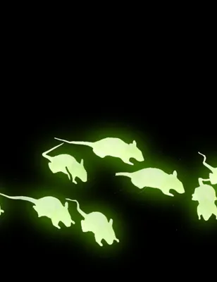 Image de ATOSA - Décorations de souris fluorescentes