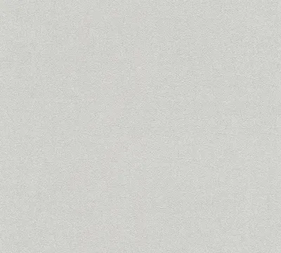 Produktbild von A.S. Creation | Premium Wall 2 | 358661 | Vliestapete | Einfarbig | 10.05 x 0.53 m | Grau | Wohnzimmer | Flur | Büro | Küche | Wohnräume