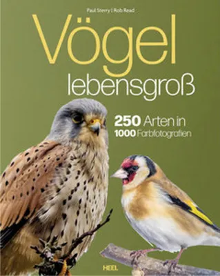 Produktbild von Vögel lebensgroß
