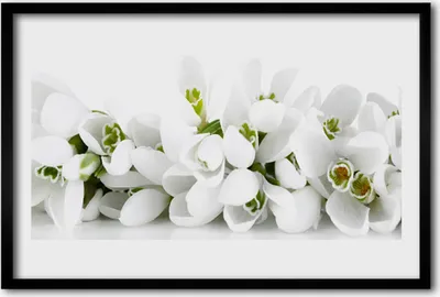 Produktbild von Bild 60x40 MDF-Rahmen Wandkunst Blumen Pflanzen Natur