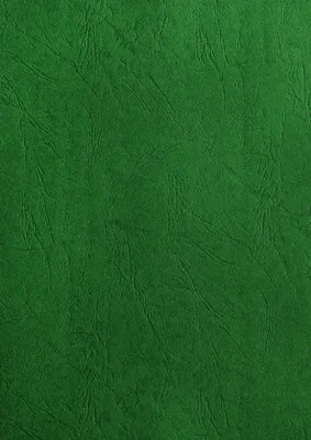 Image de couverture de reliure pavo structure cuir DIN A4 vert foncé 100 couvertures de reliure