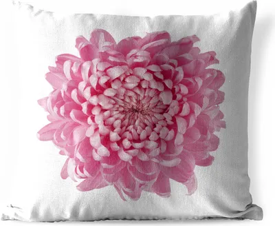 Produktbild von MuchoWow® Outdoor Kissen - Rosa Chrysantheme - 60x60 cm - Wetterfest - Lounge Kissen - Dekoration - Schlaf Kissen