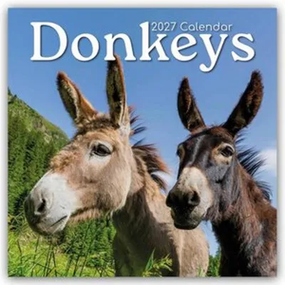 Produktbild von Donkeys - Esel 2027 - 16-Monatskalender
