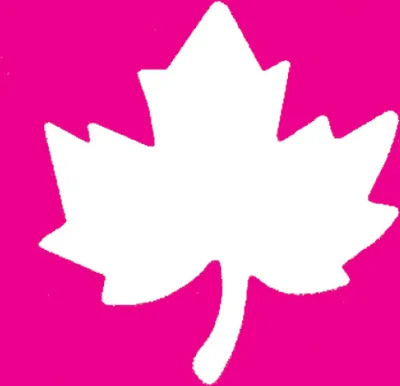 A white maple leaf silhouette on a pink background.