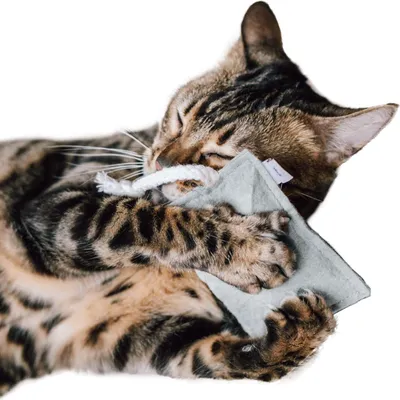 Produktbild von Katzenminze Schmusekissen FELTY | Canadian Cat | hellgrau | 5g Spielkissen für Katzen