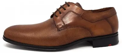 Immagine prodotto di Lloyd Levin: Scarpe da uomo, modello business, colore marrone