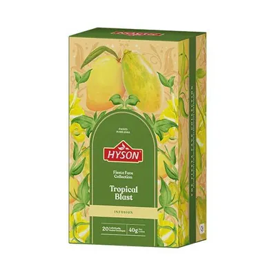 Produktbild von HYSON Tropical Blast 40g (20 Portionsbeutel, Rooibostee)