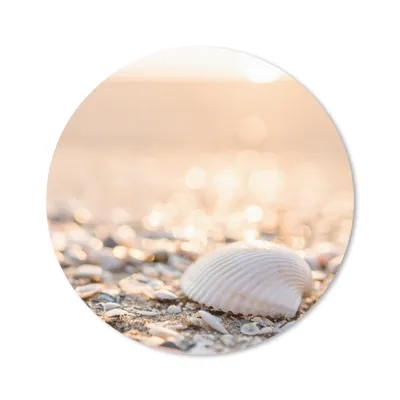 Produktbild von MuchoWow® Mauspad Mousepad Muscheln - Weiß - Strand - Sommer 20x20 cm - Mousepads - Maus Mat - Pad - Mausunterlage - Schreibtischmatte