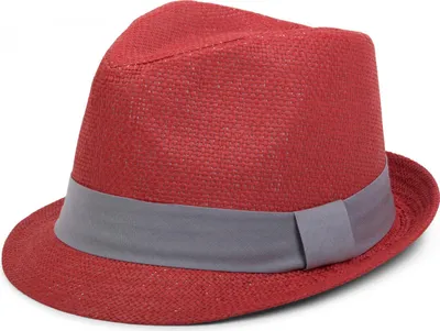 Produktbild von styleBREAKER Trilby Hut, leichter Papierhut mit kontrastfarbigem Zierband, Uni 04025002
