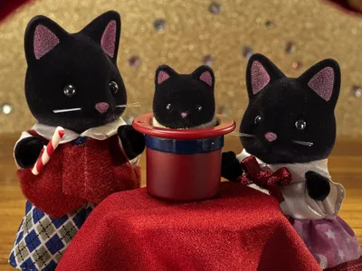Immagine prodotto di SYLVANIAN FAMILIES - The Magician Cat Family - Articulated Doll - Beige - Ages 3+