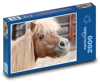 Obrázek produktu pro martinpuzzle - Puzzle 2000 - Poník