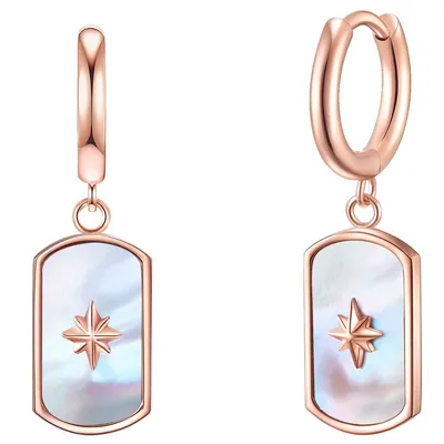 Produktbild von Valero Pearls Ohrhänger Edelstahl Perlmutt 50100115