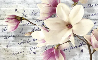 Produktbild von Fototapete Vlies 2878 VEXXL Magnolie mit Schrift 3-tlg. 312 x 219 cm