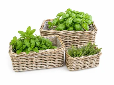 Produktbild von Rattan Pflanzkorb 3er Set Kubu Natural – rechteckig mit Folie, Pflanzgefäß für Balkon, Terrasse & Garten | OLEA Solani Home