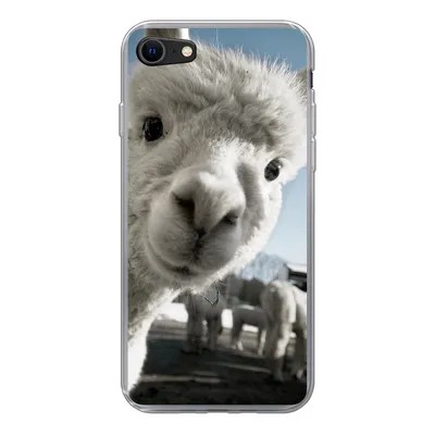 Produktbild von MuchoWow® Handyhülle Schutzhülle Hülle für iPhone SE 2020 Alpaka - Weiß - Tier Silikon Softcase Handy Hülle - Kartenbesitzer