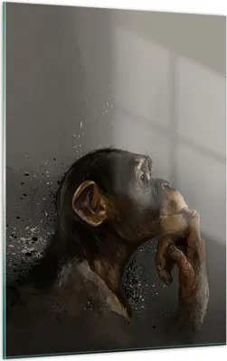 Produktbild von Bilder auf glas - Einteilig - Schimpanse Porträt Grafik - 50x70cm - Glasbilder - Wandbilder - Bilder - zum Aufhängen bereit - Wanddekoration aus Glas - Glas Bilder - Wandbild auf Glas - GPA50x70-4676