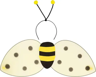 Image de Boland a décoré l'ensemble chez