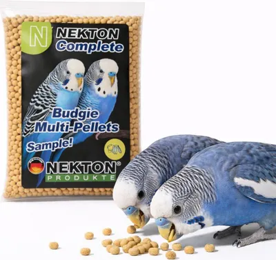 Zdjęcie produktu dla NEKTON Complete Budgie Multi-Pellets - Pełnowartościowy pokarm - granulat dla papużek falistych - Próbka