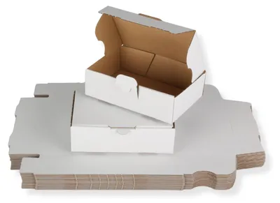 Produktbild von Maxibriefkarton DIN A6 - 160 x 110 x 50 mm / DHL Kleinpaket, weiß 20 Stück