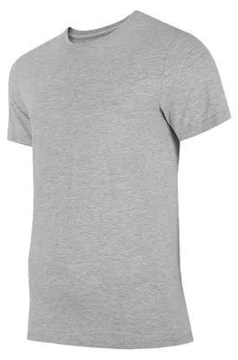 Obrázok produktu pre 4F - Pánske tričko „H4L22“ PP6051 (XXL) (sivá)