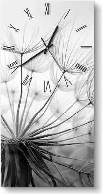 Produktbild von DEQORI Glasuhr 30x60 cm Römisch 'Pusteblume Nahaufnahme' Wanduhr Glas Uhr Design leise