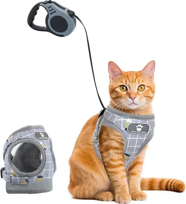 Produktbild von Famanu Katzenharness mit verstellbarem, automatischem Zugseil 5 m – klein