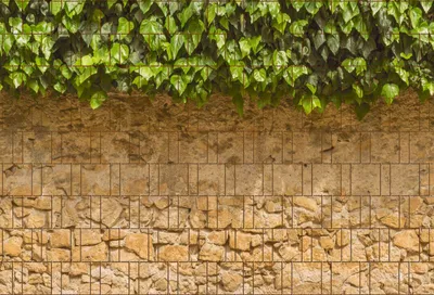 Produktbild von Bedruckter Sichtschutz EFEU & MAUER Zaun Sichtschutzstreifen 2,5m x 1,8m
