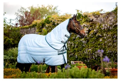 Produktbild von Amigo Stable Plus Plant Dye 200g, Größe:155 cm / 6'9, Farbe:Blue/Navy