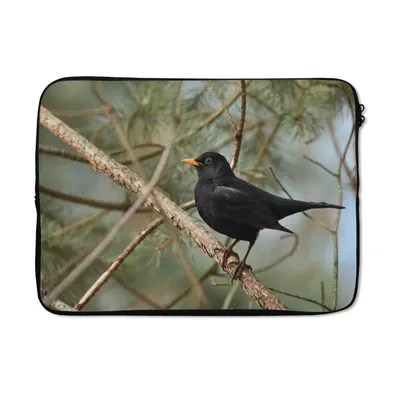 Produktbild von MuchoWow® Laptop Hülle 13 Zoll Vogel - Amsel - Zweige - Tiere Laptoptasche - Laptophülle - Sleeve - Rundumschutz