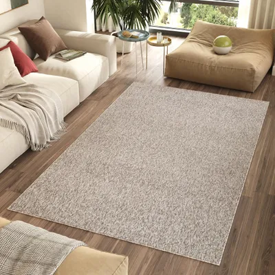 A living room scene with a sofa, rug, and beanbag chair.