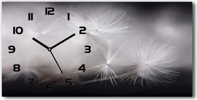 Produktbild von Wanduhr aus Glas – 60x30 cm - Glasbild - Glasuhr - Gehärtetes Glas - schwarze-zeiger - Löwenzahn Samen
