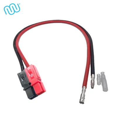 Obrázok produktu pre windmeile | Adaptér Anderson plug to bullet, 30A, dĺžka 22cm, pocínované konce, kábel e-bike, elektrobicykel, pedelec, skúter