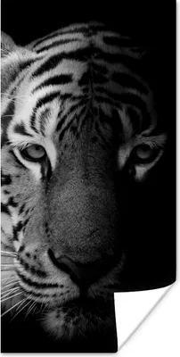 Produktbild von MuchoWow® Poster Tiger - Tiere - Wild - Schwarz - Weiß 20x40 cm - Plakat - Foto