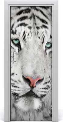 Produktbild von Tulup Türaufkleber 75x205 cm Dekorative Aufkleber Selbstklebend Wasserdichte Tapete Abnehmbar Schlafzimmer Wohnzimmer Wohnkultur - weißer Tiger