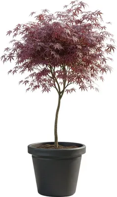 Produktbild von HowHomely | Blumentopf - Pflanzgefäß - 47x55 cm - anthrazit - Rillentopf - Outdoor - aus Recyclingmaterial