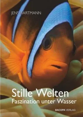 Produktbild von Stille Welten
