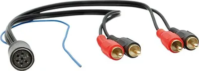 Zdjęcie produktu dla Adapter systemu wzmacniającego Volvo