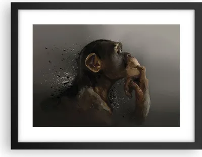 Produktbild von Gerahmtes Poster - Schwarzer Rahmen - Schimpanse Porträt Grafik - 40x30 cm - Wand Bild - Wanddeko - Wandbilder - Kunstposter - Wandposter - Bilderrahmen - Bilder - Kunstdruck - P2BAA40x30-4676