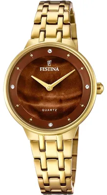 Obrázek produktu pro FESTINA Náramkové hodinky F20601_C